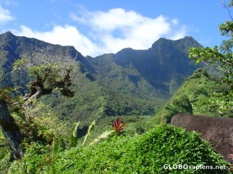 Postcard Tahiti - Vallée de la Maroto