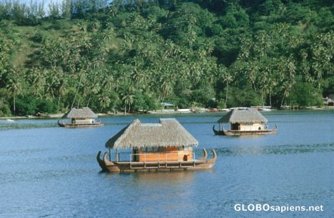Postcard Bora Bora floating bungalows