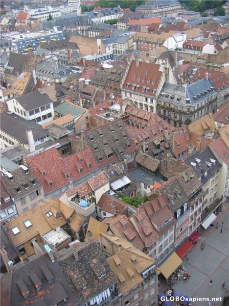Postcard Bird's Eye View of Old Strasbourg