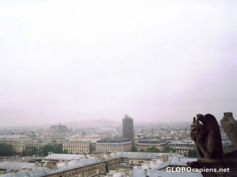 Postcard Notre Dame gargoyle
