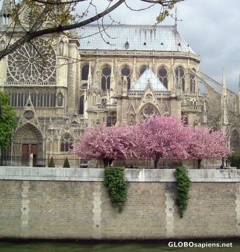 Postcard Springtime in Paris