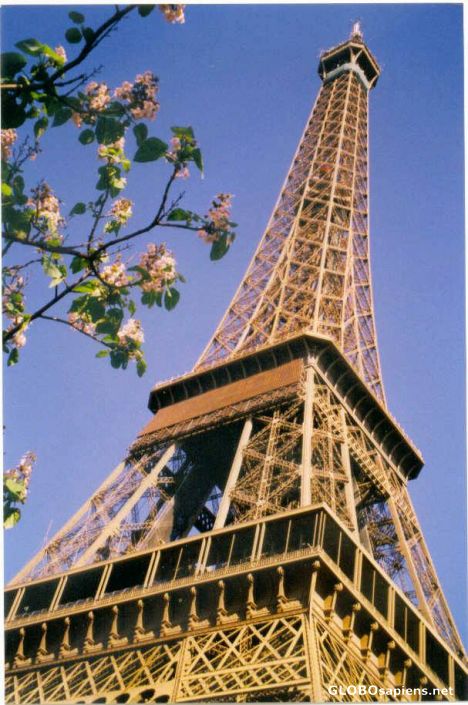Postcard Paris in Spring