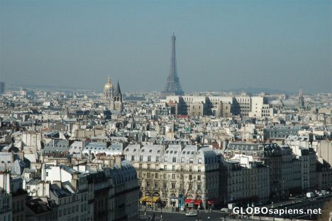 Postcard Paris from Notre Dame