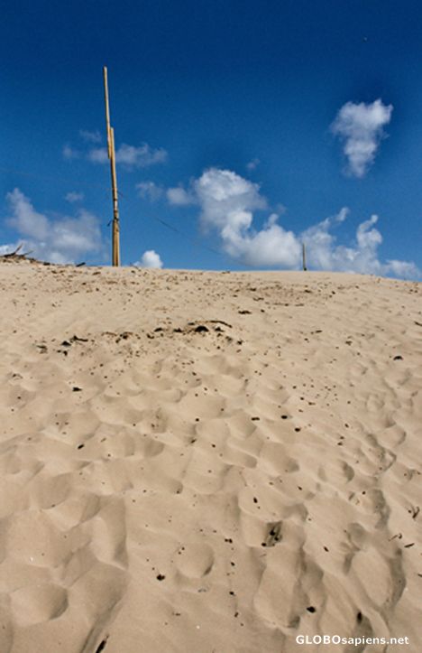 Postcard Sand dunes