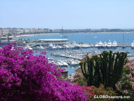 Postcard Harbour Cannes