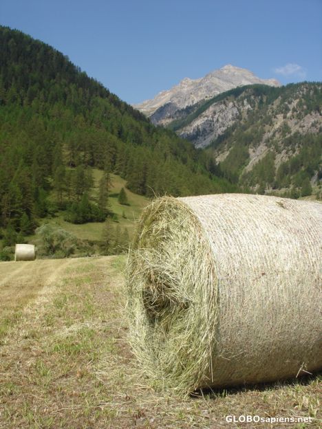 Postcard Hay in the Mountains