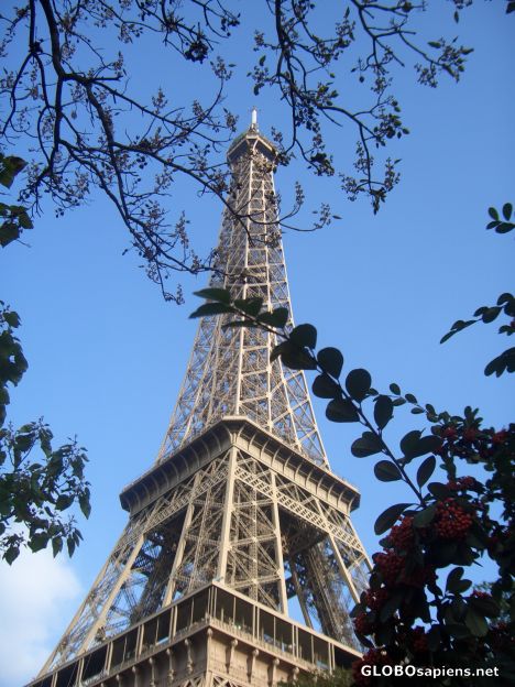 Postcard Paris in october