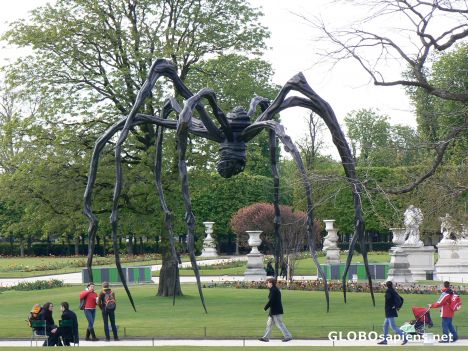 Postcard Giant spiders
