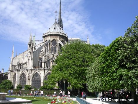 Postcard Notre Dame de Paris 3