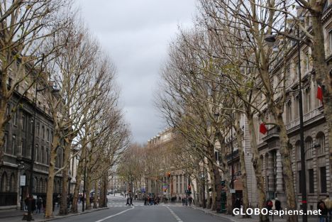 Postcard Streets of Paris in November