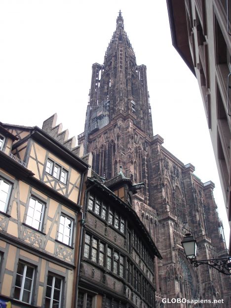 Postcard Strasbourg Cathedral