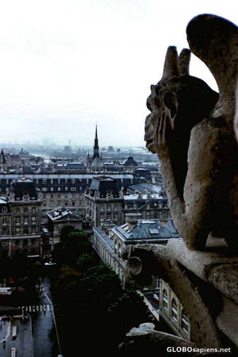 Postcard View From Notre Dame Cathedral