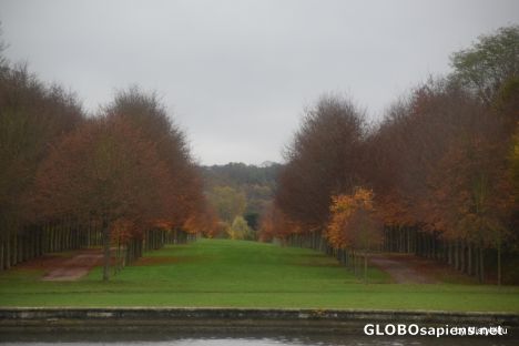 Postcard Autumn in the Gardens of the Palace of Versailles