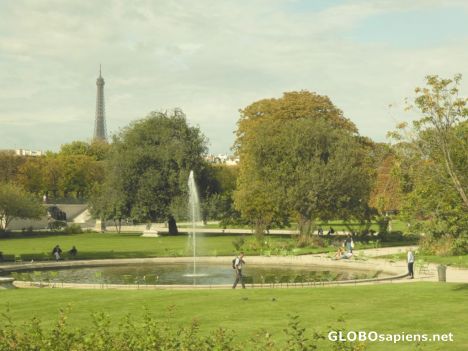 Postcard Tuileries Garden