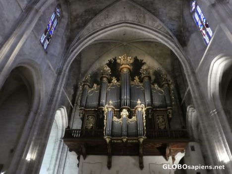 Postcard Cathedral Organ