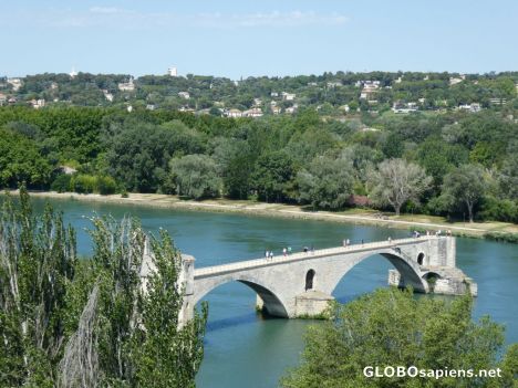 Postcard Sur le Pont d'Avignon