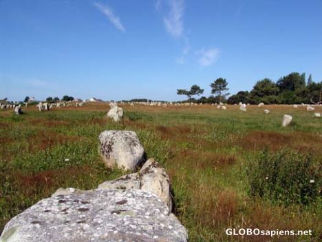 Postcard Prehistoric Megaliths, Carnac, Brittany