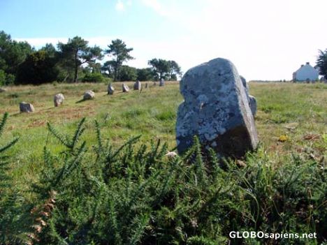 Postcard Megalithic Menhir at Carnac, Brittany, France