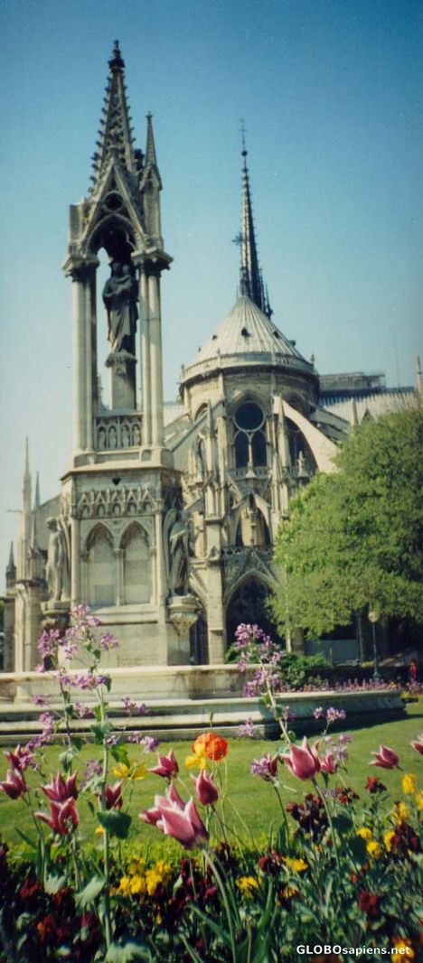 Postcard Notre Dame De Paris, France