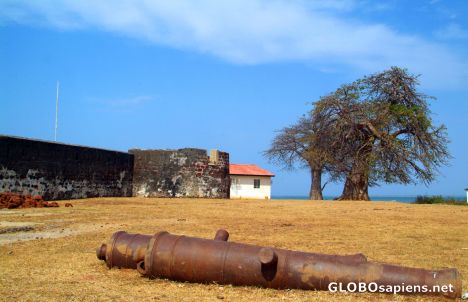 Postcard Barra - cannons by the fort