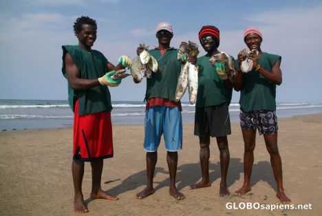 Postcard Kotu (GM) - fishermen with their catch