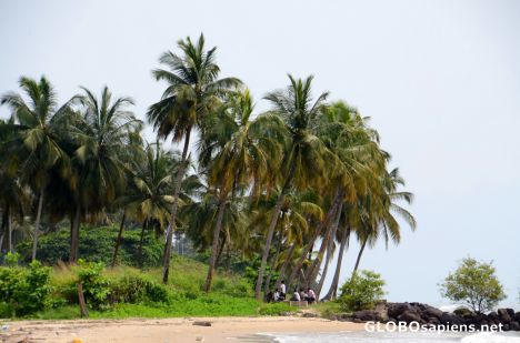 Postcard Libreville (GA) - the main beach palmtrees
