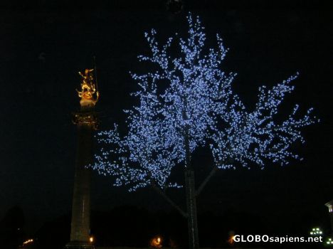 Postcard Illuminated tree in the night