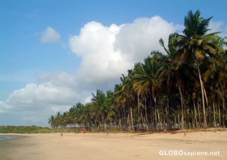 Postcard Elmina Beach