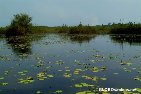 Postcard Ghana - Lake Tadane