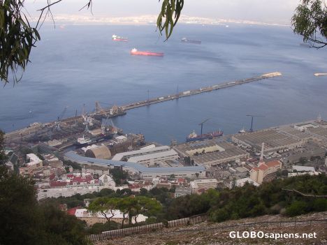 Postcard The port at Gibraltar