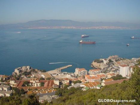 Postcard Gibraltar Port