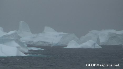 Postcard Iceberg's graveyard