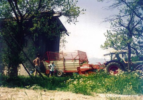 Postcard Guest Farm