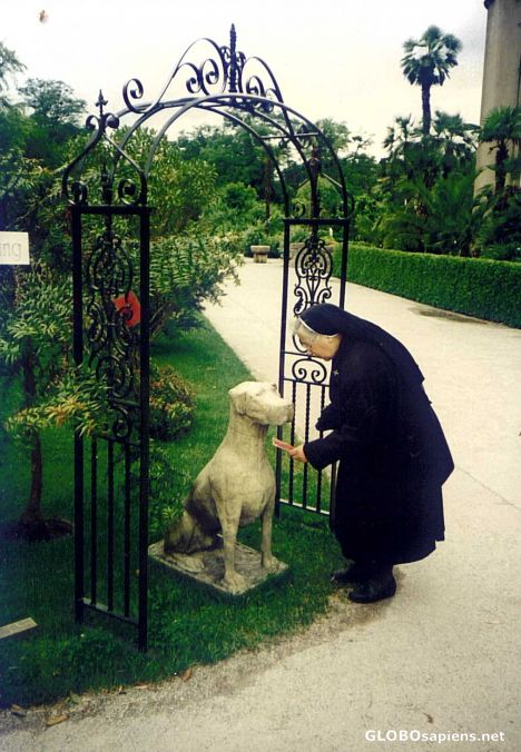 Postcard Nun Speaking to a Dog