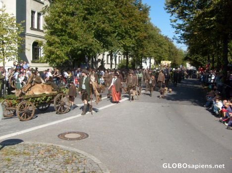 Postcard Oktoberfest Parade 13o18 Hirsch