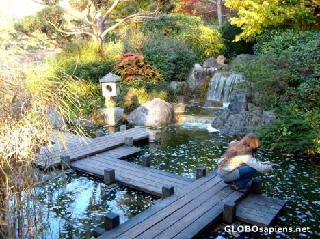 Postcard Westpark Japanese Garden