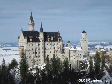 Postcard Neuschwanstein castle - January 2006