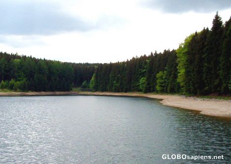 Postcard Dark Forests near Obersaidaer Pond - Neunzehnhain