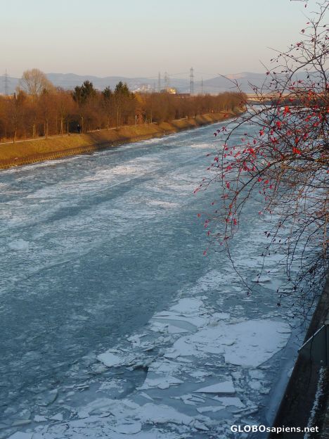 Postcard Frozen Neckar canal