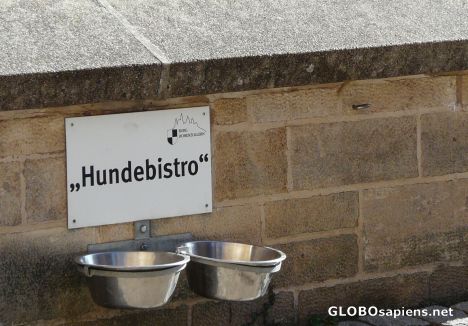 Postcard Hundebistro at Hohenzollern castle