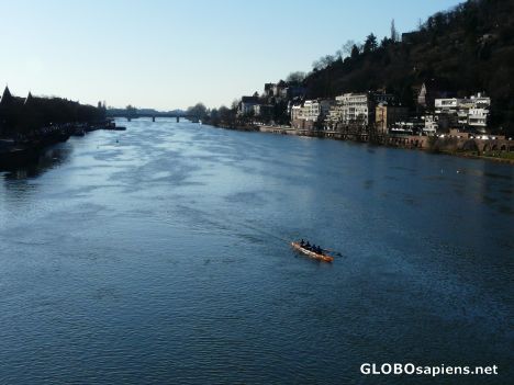 Postcard Rowing team on the Neckar river