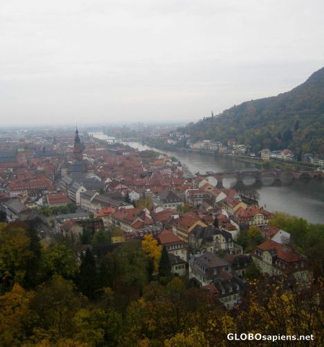 Postcard View of Heidelberg