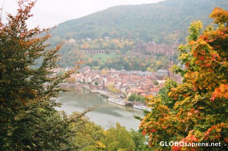 Postcard View of Heidelberg town (incl Heidelberg Castle)