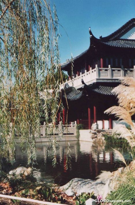 Postcard Chinese Tea House