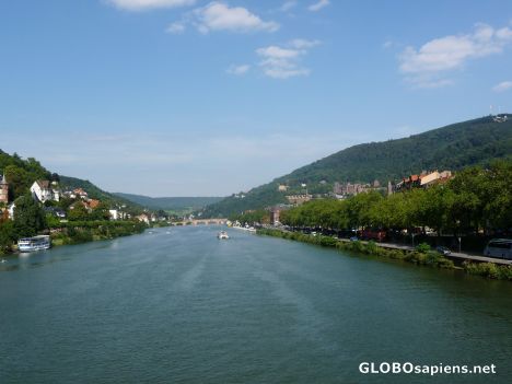 Postcard The Neckar river