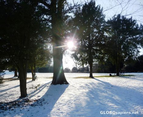 Postcard Winter sun -