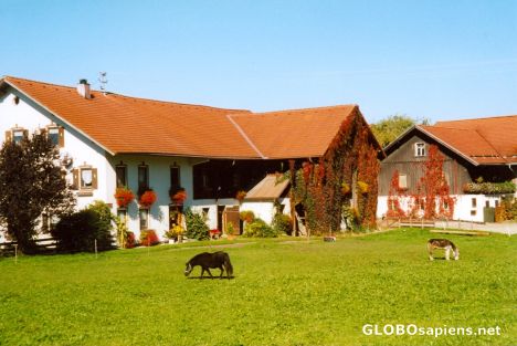 Postcard Allgau farmhouse