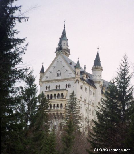 Postcard Neuschwanstein Castle 3