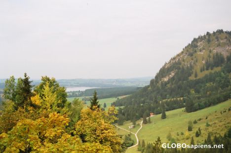Postcard View from Neuschwanstein