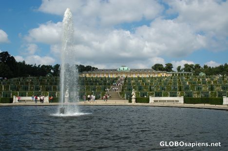 Postcard The Sanssouci Park, Potsdam.